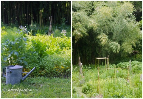 orto-giardino bambù